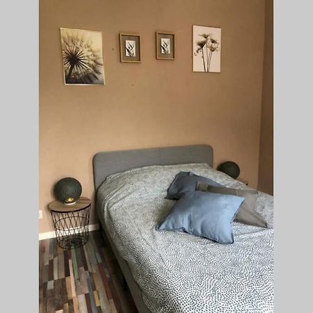 Appart Renove 2 Chambres Avec Clim LʼIsle-sur-la-Sorgue Екстериор снимка