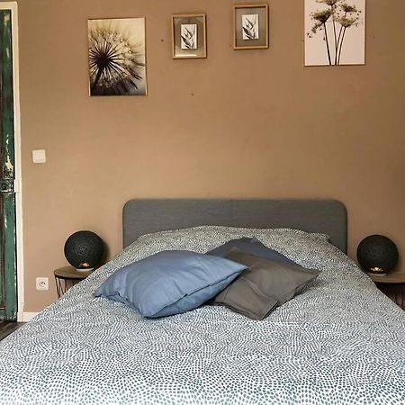 Appart Renove 2 Chambres Avec Clim LʼIsle-sur-la-Sorgue Екстериор снимка